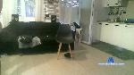 drunk3n1 cam4 livecam show performer room profile