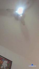 roludo2345 cam4 livecam show performer room profile