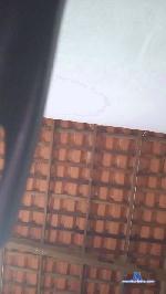 Mylen cam4 livecam show performer room profile