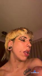 naraska1 cam4 livecam show performer room profile