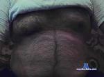 bg_bearhairy cam4 livecam show performer room profile