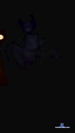 lolabunnyx69 cam4 livecam show performer room profile
