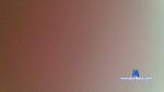 igoorcarioca cam4 livecam show performer room profile