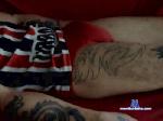 GogoTatuado cam4 livecam show performer room profile