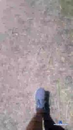 Gabii4575 cam4 livecam show performer room profile