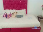 abbyjohnsonn cam4 livecam show performer room profile