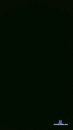 Novinhabibi cam4 livecam show performer room profile
