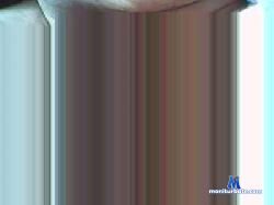 spritzgeil4 cam4 live cam performer profile