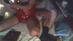 spreegurke cam4 livecam show performer room profile