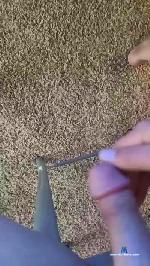 Locogringo999 cam4 livecam show performer room profile