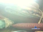clio_1 cam4 livecam show performer room profile