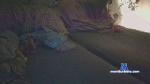 wengerduik cam4 livecam show performer room profile