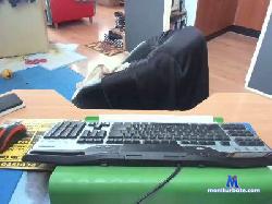 bojang cam4 live cam performer profile