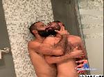 hairies1981 cam4 livecam show performer room profile