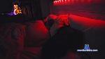 PaigeNJeremy cam4 livecam show performer room profile