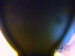 ts_sofiia cam4 livecam show performer room profile