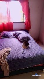 Yostin4 cam4 livecam show performer room profile