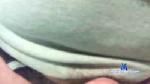 giuesu cam4 livecam show performer room profile