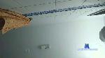 Xuanzito cam4 livecam show performer room profile