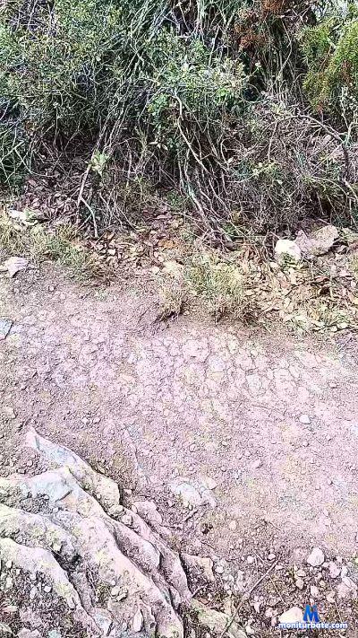 osillllo cam4 bisexual performer from Kingdom of Spain cruising cum blowjob public bear tokens 
