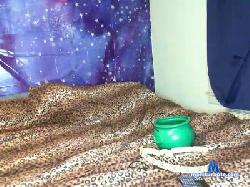 pestifero000 cam4 live cam performer profile