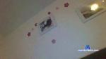 Ela345 cam4 livecam show performer room profile