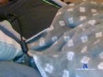 alba74 cam4 livecam show performer room profile