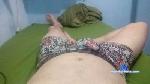 tarado_bom cam4 livecam show performer room profile