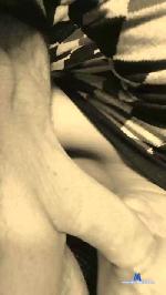 Parejareal cam4 livecam show performer room profile