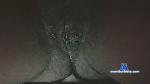 Leelah_Rose cam4 livecam show performer room profile