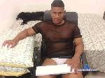 bertiebeetles cam4 livecam show performer room profile