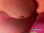 wifetwohornylo2 cam4 livecam show performer room profile