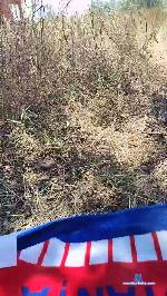 Mirko035 cam4 livecam show performer room profile