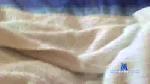 momi29 cam4 livecam show performer room profile