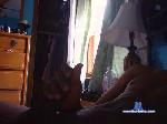 table__ cam4 livecam show performer room profile