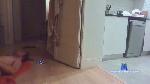 sk1nny cam4 livecam show performer room profile