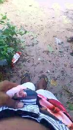 gaviao21z cam4 livecam show performer room profile