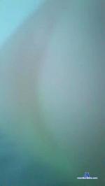 Apefaos cam4 livecam show performer room profile