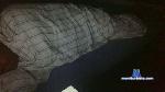 nafets_hot cam4 livecam show performer room profile