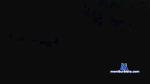 andresihot12 cam4 livecam show performer room profile
