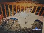 thepussymonster cam4 livecam show performer room profile