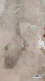 clau079 cam4 livecam show performer room profile