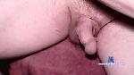 bicuriousinohio cam4 livecam show performer room profile