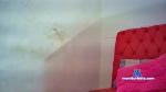 efx2003 cam4 livecam show performer room profile