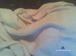 antwerpgast cam4 livecam show performer room profile