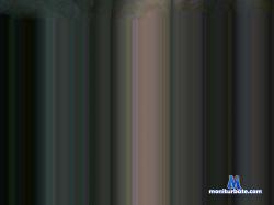 Bertygmt cam4 live cam performer profile