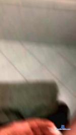 Alessio2493 cam4 livecam show performer room profile