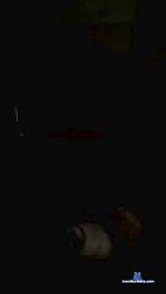 leo12347 cam4 livecam show performer room profile