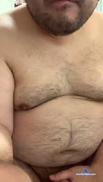 north00bear cam4 livecam show performer room profile