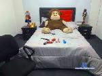 vs1000 cam4 livecam show performer room profile